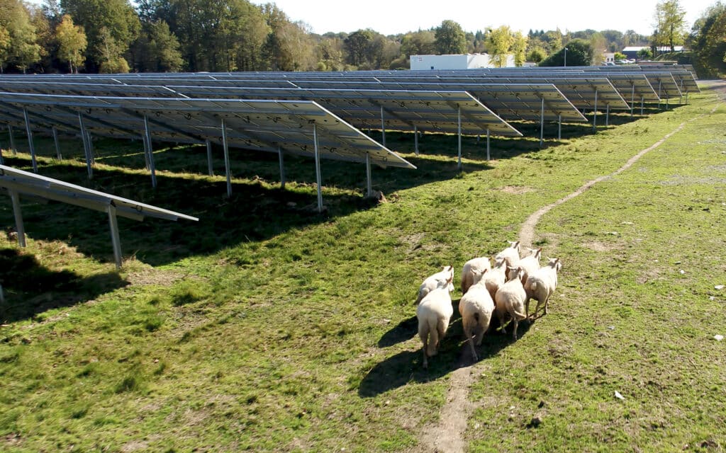 Centrale au sol Saint-Jory-de-Chalais